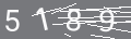 capsa
